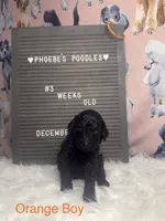 processed/ab59b6b9-fd3a-46d7-8be6-5ce65b6673a1/listing/518da640-39d4-4c9f-a8ca-1ae06e05eaaa/153c59b4-411e-4650-9d44-d77a8ca3bf62