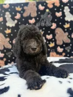 processed/ab59b6b9-fd3a-46d7-8be6-5ce65b6673a1/listing/518da640-39d4-4c9f-a8ca-1ae06e05eaaa/61a34c20-0f4b-4c08-97ac-1a947dda4397