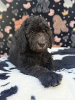 processed/ab59b6b9-fd3a-46d7-8be6-5ce65b6673a1/listing/518da640-39d4-4c9f-a8ca-1ae06e05eaaa/64235a44-8f57-4e69-bb63-a5feeba9d9cf