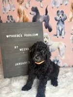 processed/ab59b6b9-fd3a-46d7-8be6-5ce65b6673a1/listing/518da640-39d4-4c9f-a8ca-1ae06e05eaaa/e66bfc7f-3d09-4f4d-81b2-c4e4e9b9a69e