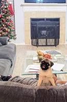 processed/ab5f56fc-b0ed-4d2f-af4e-8e5b3c8c1353/facility/4006fab3-c2ec-48d3-8e73-ba1676e40eea