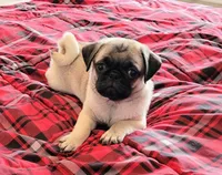 processed/ab5f56fc-b0ed-4d2f-af4e-8e5b3c8c1353/facility/68aceee1-dabd-45d3-b9f8-1a48b23120ce