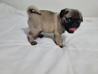 processed/ab5f56fc-b0ed-4d2f-af4e-8e5b3c8c1353/facility/96edc05b-4d5e-4b7b-8609-b147a87fdb1a