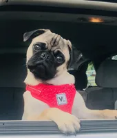 processed/ab5f56fc-b0ed-4d2f-af4e-8e5b3c8c1353/facility/b24dced1-f19f-4a34-8467-2ea52ed9bc5a