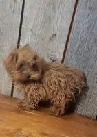 processed/ab648093-0783-4e83-b0f3-857586641524/listing/573db2f0-75dd-4b37-98d4-57059e03c664/6d318ae2-e356-4b2b-be6f-d3a783cd62ff