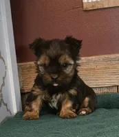 processed/ab648093-0783-4e83-b0f3-857586641524/listing/c34b52d3-8128-4cc6-8eb5-1dd86f7a59df/17ee6167-33ff-4f8f-8c50-3e558f3fc54d