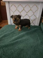 processed/ab648093-0783-4e83-b0f3-857586641524/listing/c34b52d3-8128-4cc6-8eb5-1dd86f7a59df/2fc7378a-2ef4-40c6-8557-789c1c11cac7