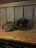 processed/ab648093-0783-4e83-b0f3-857586641524/listing/d0107d73-ecf6-4b09-b43f-b3870a6e75b4/398de979-8484-4421-a71d-33e4a18927c5