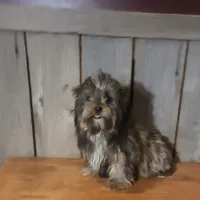 processed/ab648093-0783-4e83-b0f3-857586641524/listing/d0107d73-ecf6-4b09-b43f-b3870a6e75b4/6531e514-2404-46cd-b462-fcc46d76a5a7