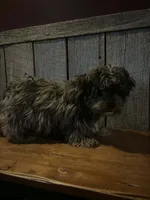 processed/ab648093-0783-4e83-b0f3-857586641524/listing/d0107d73-ecf6-4b09-b43f-b3870a6e75b4/9b451be3-eede-4dad-9685-2ca405401af3