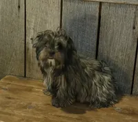 processed/ab648093-0783-4e83-b0f3-857586641524/listing/d0107d73-ecf6-4b09-b43f-b3870a6e75b4/ba8ea2f7-deb5-44db-9ea7-f319d0a7f0ca