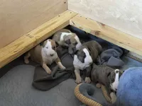 processed/ab6a44a3-cf91-480a-ba3d-7ede3ad22787/listing/24a3ec13-9cd8-4fc8-9ad9-f4d469efbd8a/8941d15f-c03b-47db-91b5-43208a5330fc