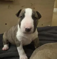 processed/ab6a44a3-cf91-480a-ba3d-7ede3ad22787/listing/275ec855-47cf-41dd-a1fc-caef060cd4aa/34b30f17-70d1-49b0-93f3-16dfa879fbf9