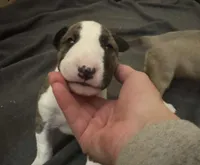 processed/ab6a44a3-cf91-480a-ba3d-7ede3ad22787/listing/275ec855-47cf-41dd-a1fc-caef060cd4aa/5b95d285-0c69-4e09-9282-2fd265e1325d