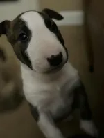 processed/ab6a44a3-cf91-480a-ba3d-7ede3ad22787/listing/275ec855-47cf-41dd-a1fc-caef060cd4aa/7a733fcc-c43c-4ed1-81ed-bfa5a81972c1