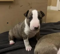 processed/ab6a44a3-cf91-480a-ba3d-7ede3ad22787/listing/275ec855-47cf-41dd-a1fc-caef060cd4aa/e7b8a2d0-a88a-40f6-8cac-e2b829a062ba