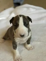 processed/ab6a44a3-cf91-480a-ba3d-7ede3ad22787/listing/b6b1d858-a02d-4ce9-ba04-2b4b1754b230/c63a92eb-bb62-4055-81b2-1a72e6be896a