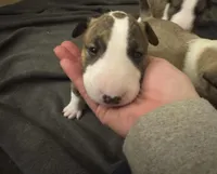 processed/ab6a44a3-cf91-480a-ba3d-7ede3ad22787/listing/b6b1d858-a02d-4ce9-ba04-2b4b1754b230/ca0d6de8-e1d1-4196-b40e-e9cafd7b4d44