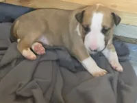 processed/ab6a44a3-cf91-480a-ba3d-7ede3ad22787/listing/e6b9f686-ecbc-4f07-ac10-d5072ebe7c3b/87b30e7a-b508-47ff-b6ad-2faf70f7b9c8