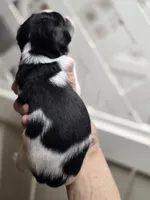 processed/ab76b7f0-8ee9-4145-9769-0c68c6c4f9c3/listing/85077e83-09f9-4568-a941-05d26cd1138a/2dbda80a-3abe-4aa2-9e3c-da9788e5e381