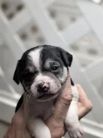 processed/ab76b7f0-8ee9-4145-9769-0c68c6c4f9c3/listing/85077e83-09f9-4568-a941-05d26cd1138a/85959a5e-0f44-4b7e-96df-bd48888bb491