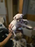 processed/ab76b7f0-8ee9-4145-9769-0c68c6c4f9c3/listing/9b68090a-debc-4f6e-a2a0-c533aa4e6f32/8ea1d104-5175-47f8-b93b-c41df92e8a08