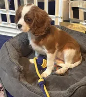 processed/ab82a171-6ce5-4390-a994-d70cef7e0c13/listing/44c8e6ee-732f-4ee8-9da2-1d5c92c6d232/8d1e2432-ba0b-4763-b0d9-13f7477c0f70