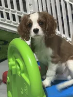 processed/ab82a171-6ce5-4390-a994-d70cef7e0c13/listing/e868a33a-147e-4b2b-ac49-3cc6d2b8c611/61a8f9a0-17d1-40bd-bead-4d3b4d8853fb