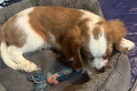 processed/ab82a171-6ce5-4390-a994-d70cef7e0c13/listing/e868a33a-147e-4b2b-ac49-3cc6d2b8c611/9fffe7ad-835c-4f9c-b5df-1d61cd709e8f