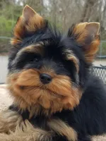 processed/ab83d45f-bfe3-4688-9f88-3e6f247de22b/facility/06664ebb-696f-462a-919b-abda93b3c9c6