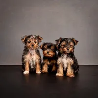 processed/ab83d45f-bfe3-4688-9f88-3e6f247de22b/facility/1a219d8c-3206-4b7b-ad93-37a41e84324c