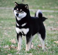 processed/ab83d45f-bfe3-4688-9f88-3e6f247de22b/facility/34374915-97b2-4714-b420-31839f9d71d7