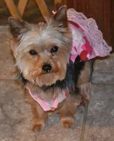 processed/ab83d45f-bfe3-4688-9f88-3e6f247de22b/facility/50880785-3c85-45be-ace1-c4e5a1ccdfd5