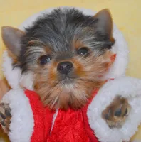 processed/ab83d45f-bfe3-4688-9f88-3e6f247de22b/facility/5ad9dbbd-46e2-4fdd-a996-d4d362a29dd0