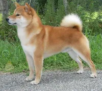 processed/ab83d45f-bfe3-4688-9f88-3e6f247de22b/facility/702f8e15-6cc0-4a01-a307-de20494d9048