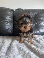 processed/ab8ee701-a260-4dea-ae5d-346fd03bd5a7/facility/a79f00a0-25bb-4b5f-a3a4-d9bb5fb60a99