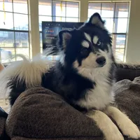 processed/ab8ef188-dd40-4ea5-9661-5f3cf7af07bc/facility/0c0a1611-fac3-451f-9ed2-980893efbbba