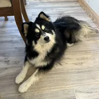 processed/ab8ef188-dd40-4ea5-9661-5f3cf7af07bc/facility/258bc04d-8241-4f38-a8b9-44b3ae740b39