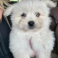 processed/ab8ef188-dd40-4ea5-9661-5f3cf7af07bc/facility/265d111c-c047-4010-b3e1-69d994a459c1