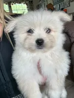 processed/ab8ef188-dd40-4ea5-9661-5f3cf7af07bc/facility/265d111c-c047-4010-b3e1-69d994a459c1