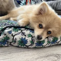 processed/ab8ef188-dd40-4ea5-9661-5f3cf7af07bc/facility/528a06a6-44ba-437b-aab9-2a1b243cb004