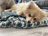 processed/ab8ef188-dd40-4ea5-9661-5f3cf7af07bc/facility/528a06a6-44ba-437b-aab9-2a1b243cb004