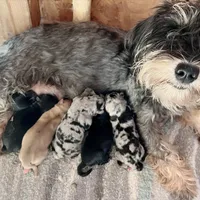 processed/ab8ef188-dd40-4ea5-9661-5f3cf7af07bc/facility/5a33ac5e-27b0-443f-aae1-6e9c9f9d42b1