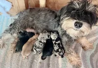 processed/ab8ef188-dd40-4ea5-9661-5f3cf7af07bc/facility/5a33ac5e-27b0-443f-aae1-6e9c9f9d42b1