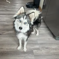 processed/ab8ef188-dd40-4ea5-9661-5f3cf7af07bc/facility/698d3005-ce8c-4a2b-9e00-44742e89e0b6