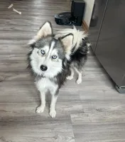 processed/ab8ef188-dd40-4ea5-9661-5f3cf7af07bc/facility/698d3005-ce8c-4a2b-9e00-44742e89e0b6