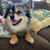 processed/ab8ef188-dd40-4ea5-9661-5f3cf7af07bc/facility/70e1f400-0914-4343-9756-680e52cc9dc4