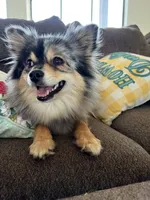 processed/ab8ef188-dd40-4ea5-9661-5f3cf7af07bc/facility/70e1f400-0914-4343-9756-680e52cc9dc4