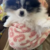 processed/ab8ef188-dd40-4ea5-9661-5f3cf7af07bc/facility/8c3d8faa-1823-420e-8a80-e7783ca48112