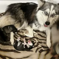 processed/ab8ef188-dd40-4ea5-9661-5f3cf7af07bc/facility/a5075119-b431-4aed-ba7e-8fd506b286ae